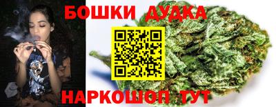 крисы Ипатово