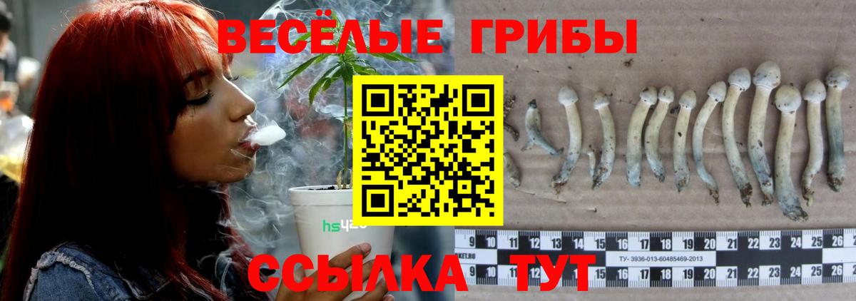 Псилоцибиновые грибы Psilocybine cubensis Усть-Кут